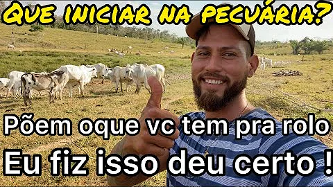 Quais atividades fazem parte da pecuária?