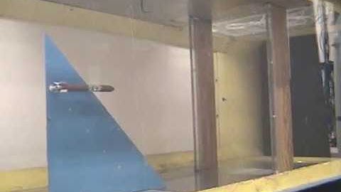 Aeroelastic Experiments - Delta Wing with External Store