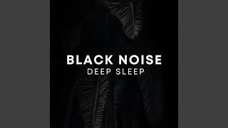 Black Noise Collapse Zone
