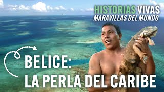 Belize: Reefs, Rivers, and Wildlife | Historias Vivas | Natural Documentary HD