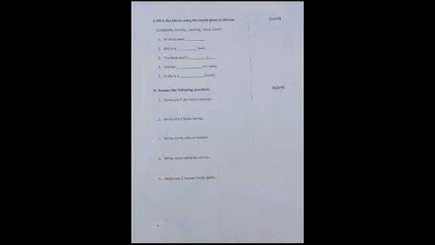 Class- 1 EVS question paper 2023