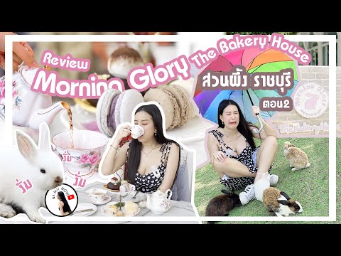 NaButNOW Review : Morning Glory Bakery House // สวนผึ้ง ราชบุรี