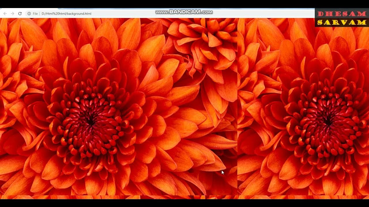 html-how-to-set-background-bg-youtube
