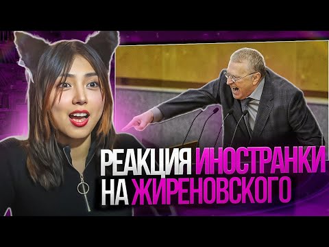 Иностранка о Жириновском: реакция