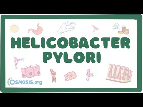 Хеликобактер Пилори - причина гастрита (микробиология лекция)