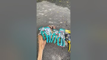 Kéo cắt cành Total THT0201 kích thước 8 inch 200mm, tay cầm công thái học, Liên hệ: 090 828 4247