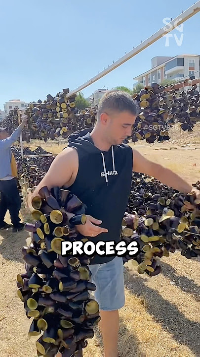 How do Turkish people turn eggplants into a traditional dish
