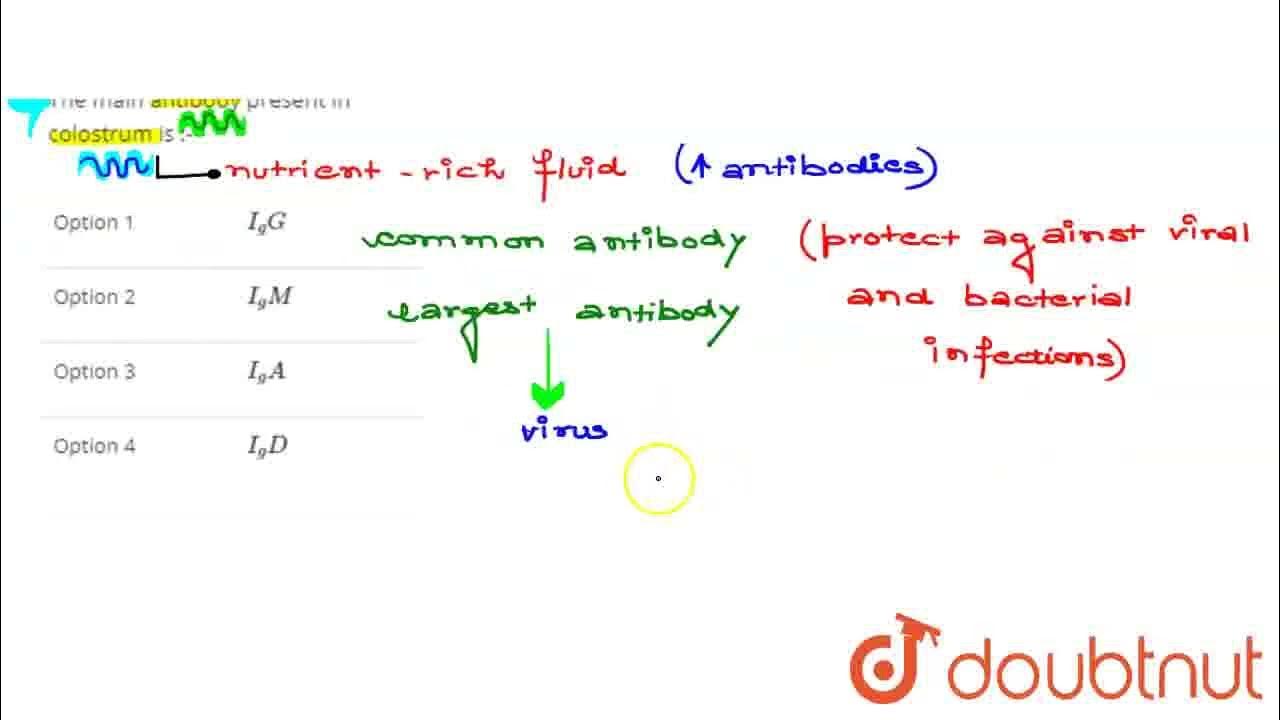 The main antibody present in colostrum is :- | CLASS 12 | DRILL TEST 2