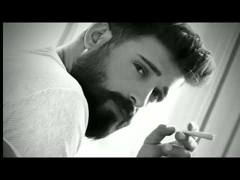 اغاني هيبة حالات واتس هيبات جديدة ترند تيك توك 2026 اغاني مشهورة ع تيك توك