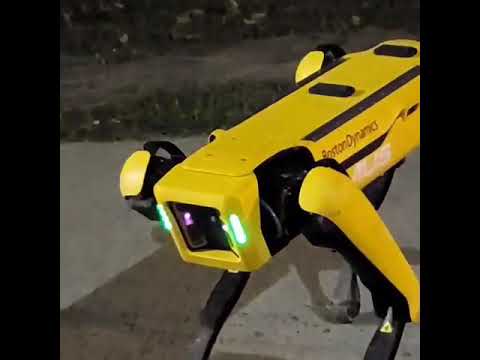 A robot dog