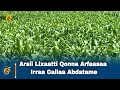 Arsii Lixaatti Qonna Arfaasaa Irraa Callaa Abdatame