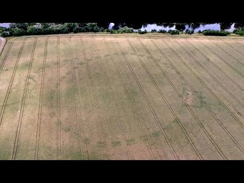 Drought reveals ancient Stonehenge-like monument in Ireland