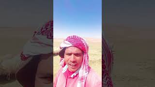 तालिबान की एक सिस्टर से बात हुआ बहुत अच्छालगा#viral #viralvideos #firstvlog #shortsfeed #shorts