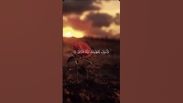 ولسوف يعطيك ربك فترضى.. #سورة_الضحى #ماهر_المعيقلي #ريحانة_قرآن #قرآن #تلاوة_خاشعة #quran #تلاوات