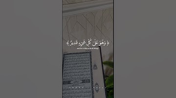 النجاه من عذاب القبر👌#quran #قرآن #قران_كريم #راحة_نفسية #لايك #اكسبلور #سورة_الملك #الله #يارب #ﷺ