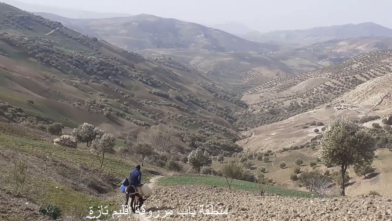 منطقة باب مرزوقة إقليم تازة