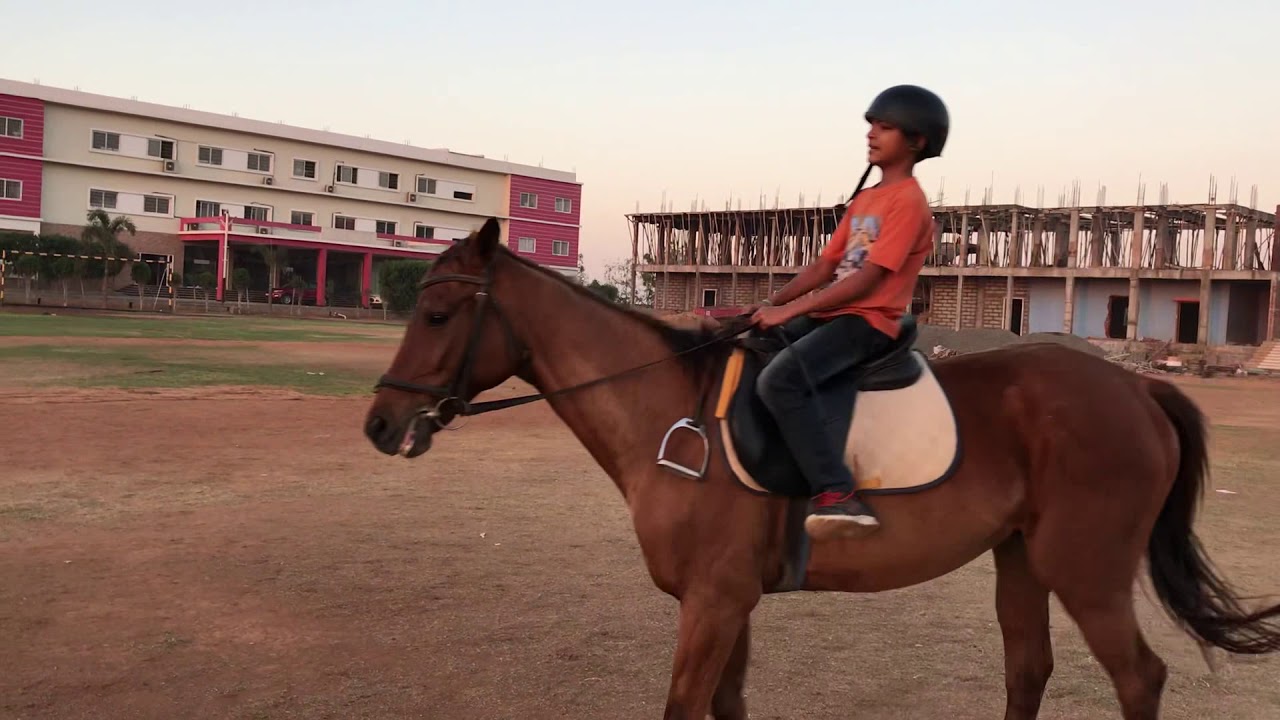 Horse riding videos SDR WORLD SCHOOL YouTube