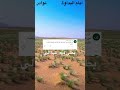 الفنان بطي فهد البذالي ترى مايمديك طبت يازين 