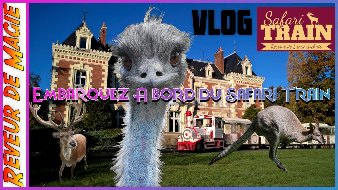 Embarquez à bord du Safari Train de la Réserve de Beaumarchais