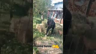 Sasha Green, Is That Muscles I Love It, In The Countryside