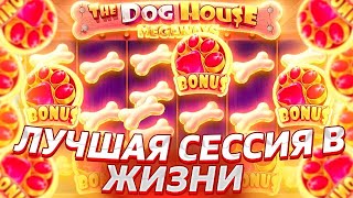 СЛОВИЛ БОНУСКУ ПО ВЫСОКОЙ СТАВКЕ В THE DOG HOUSE MEGAWAYS! ЗАКРЫЛ СИНИХ СОБАК! ЗАНОСЫ НЕДЕЛИ!