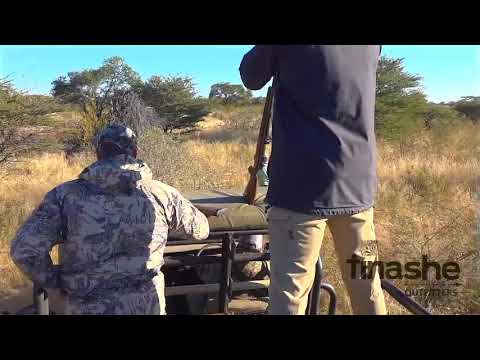 Tinashe Outfitters Lion Hunting Kings Of The Kalahari