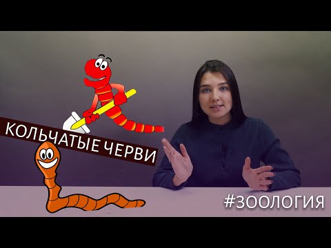 Кольчатые черви |