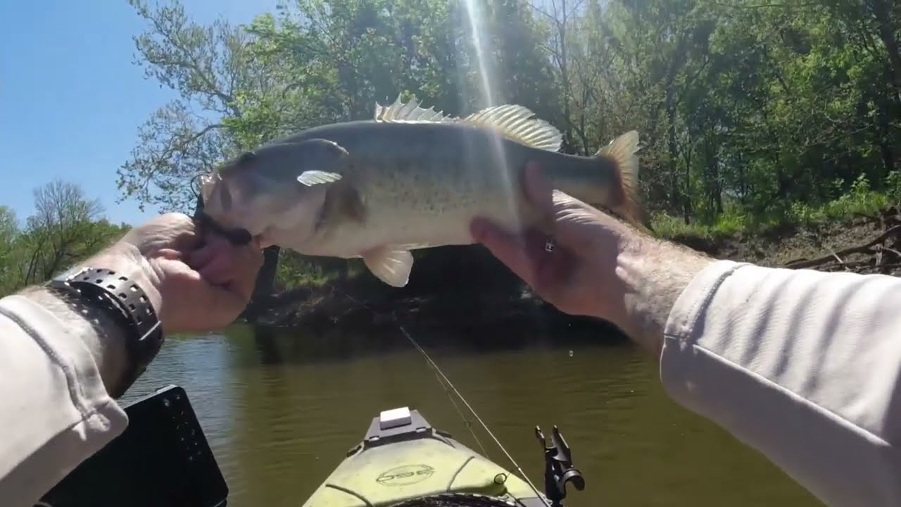 Can I FINESSE my way into 1st place? 🤷‍♂️ #kayakbassfishing