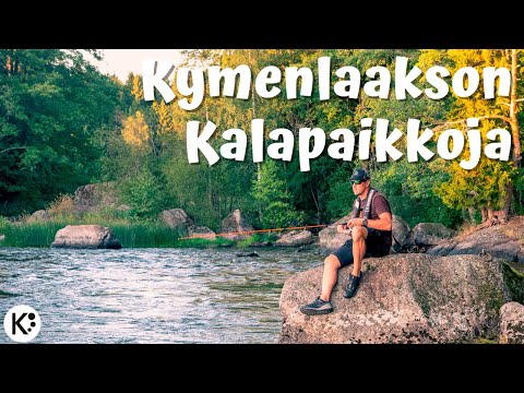 Video: Missä Voi Mennä Kalastamaan Lähiöissä