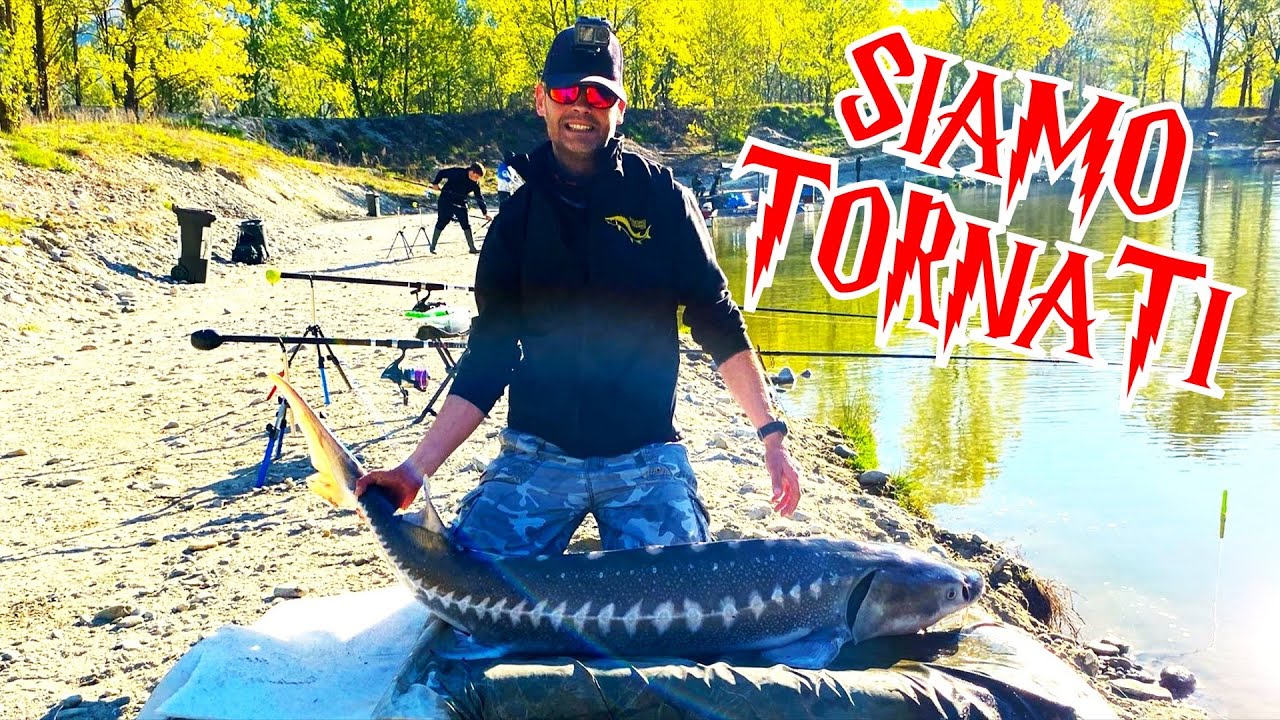 PESCA ALLO STORIONE : SIAMO TORNATI