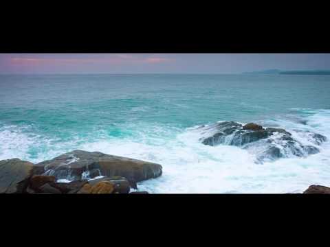 杜鹃   听海