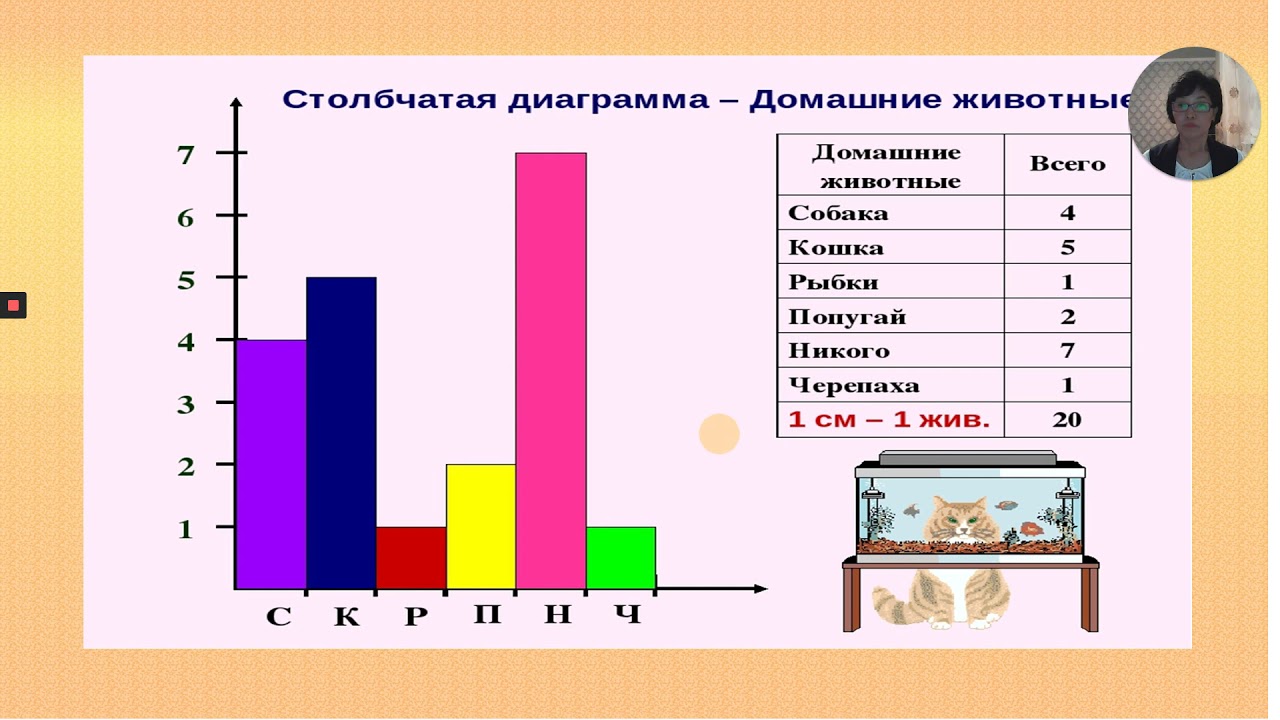 Статистические данные практическая работа 8 класс. Способы наглядного представления статистических данных. Способы представления статистической информации. Способы представления статистических данных 5 класс. Графические способы представления статистики.