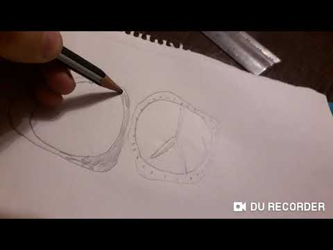 Vlogi 1მანქანების ალბომი