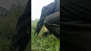 petani kampung yang bahagia