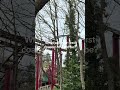 Tell me in the comments! #themepark #coaster #chessington #dragonsfury #fyp #coasterenthusiast