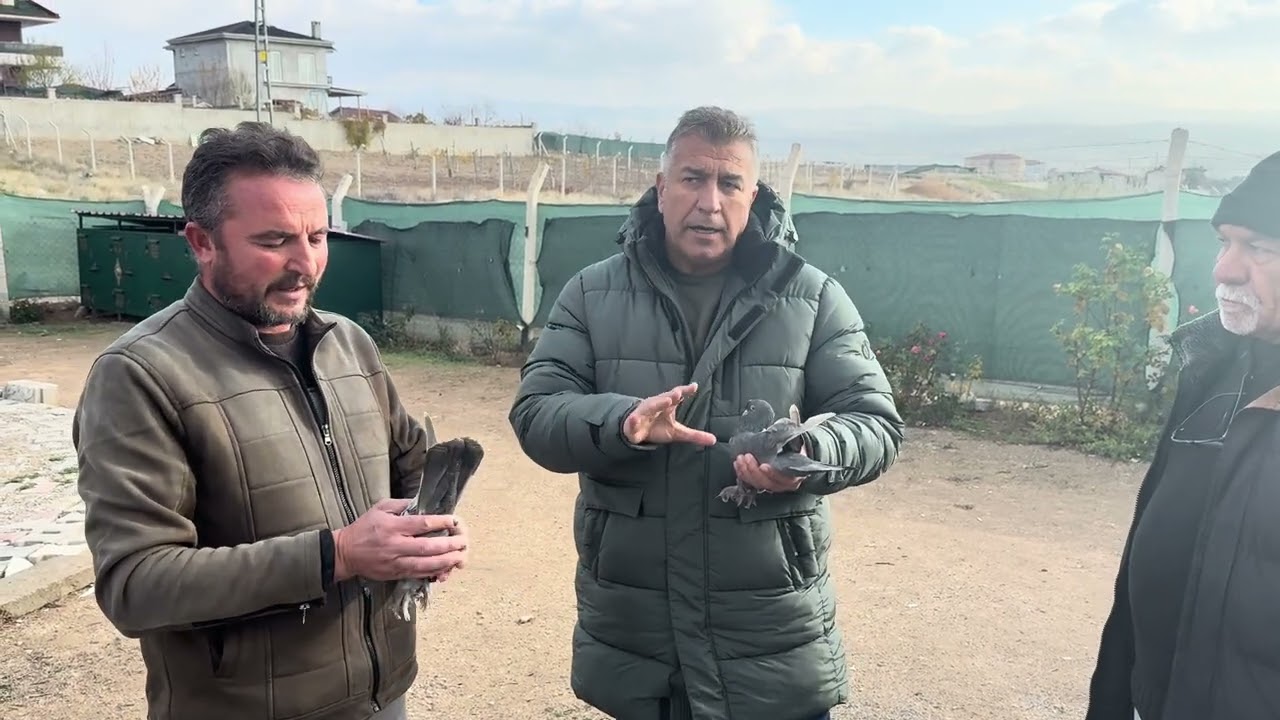 Son zamanlarda izlediğim nadir kuşlardan biri maşallah 🧿 