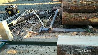 Celebrity Cutting up 2000 bf of Eastern White Pine. Orientation adjusted Net Worth