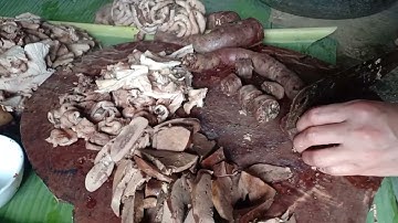 phú thọ TV Tết quê dân tộc mường phú thọ ngày 26