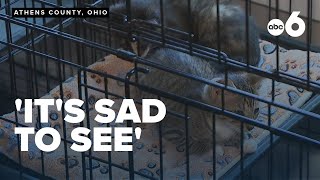 Ohio teen tackles pet food insecurity with innovative Girl Scouts Gold Award project