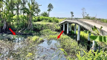 Phơi Nắng Săn Cá Kinh Gò Công Câu Cá Rô Đồng Mồi Này Bao Nhạy | @HuyFishingVlog