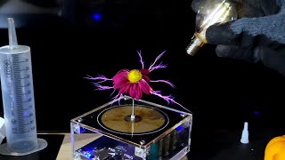 Real Flower Jingle Bells Song