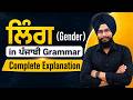 📚 ਲਿੰਗ (Gender) in Punjabi Grammar | Complete Explanation