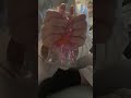 Squishy haul part two  #unboxing #squishy 