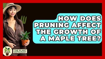 How Does Pruning Affect The Growth Of A Maple Tree? - The Plant Enthusiast