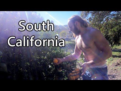 San Diego & LA: Raw Meat Eaters Everywhere