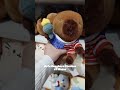 Cutest Capybara Plushies at Miniso #minisoambassador #myminisousa #capybara #plushies