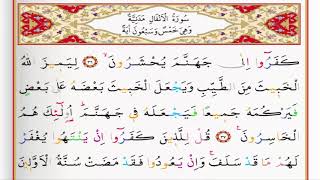 Surah Al Anfal   Saad Al Ghamdi surah anfal with Tajweed