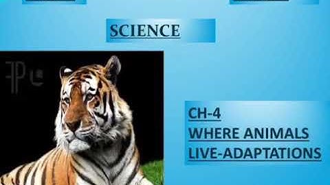 Class IV SCIENCE Ch 4 WHERE ANIMALS LIVE ADAPTATIONS