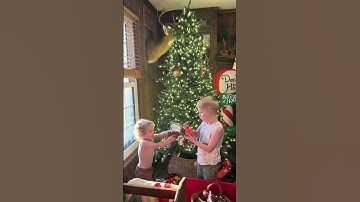 new favorite memory 🎄#brothers #tannerjoewiggins #beauwesleywiggins #christmastree