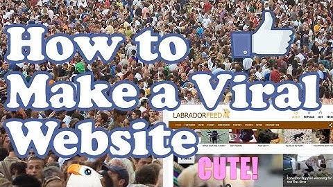 How to make a VIRAL WEBSITE BLOG with WordPress & AdSense